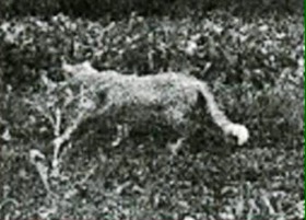 8f3f27d2.jpg