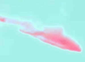 Screenshot_2016-04-29-08-38-32