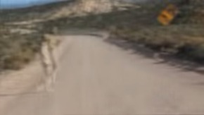 Screenshot_2015-11-26-18-16-36