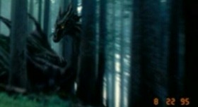 Screenshot_2015-11-21-17-00-10