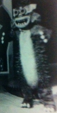 91456589.jpg