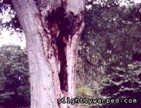 91c69c11.jpg