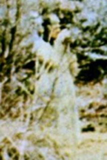92275976.png