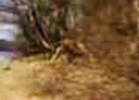 923958c8.jpg