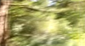 Screenshot_2016-03-19-00-56-07