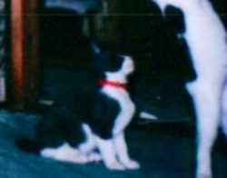 92ee1227.jpg