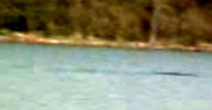 Screenshot_2016-05-26-17-59-52