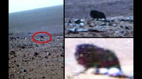 Screenshot_2015-11-19-20-43-27