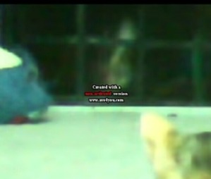 Screenshot_2016-03-24-03-52-38