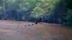 Effectplus_20151204_212928