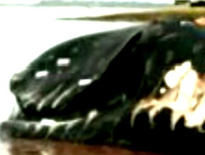 Screenshot_2016-03-04-16-23-20