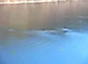 Screenshot_2016-02-02-14-42-27