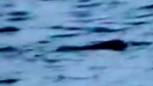 Screenshot_2016-06-26-11-04-42