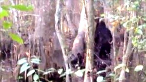 Screenshot_2016-03-14-11-48-51