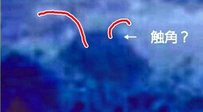 Effectplus_20160130_064007