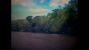 Screenshot_2015-12-04-21-06-40