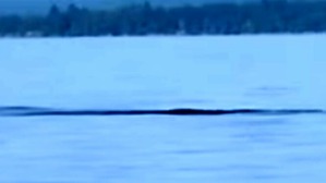 Screenshot_2016-06-29-02-38-59