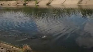 Screenshot_2016-07-01-03-31-54