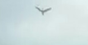 Screenshot_2015-12-20-05-25-12