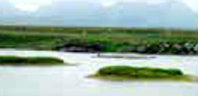 Screenshot_2016-01-30-02-10-26