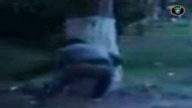 9979655f.jpg