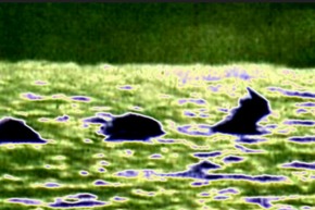 Effectplus_20160127_091520