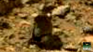 Screenshot_2016-02-20-19-56-40