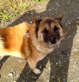 99eaea9d.jpg
