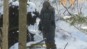 Screenshot_2015-11-29-05-17-28