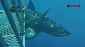 Screenshot_2015-12-22-18-28-33