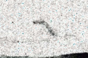 Effectplus_20151221_135241