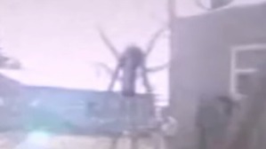 Screenshot_2016-03-04-15-31-57