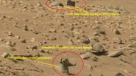 Screenshot_2015-10-22-07-47-22