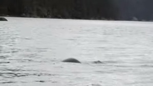 Screenshot_2016-06-29-04-24-17