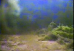 Screenshot_2016-01-15-19-48-34