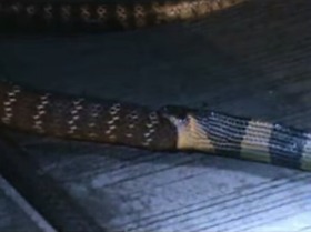 Screenshot_2015-11-20-13-31-53