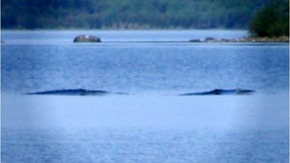 Effectplus_20151123_002844