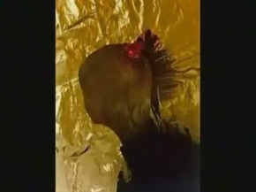 Screenshot_2015-11-28-18-42-34