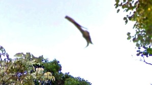 Screenshot_2016-02-19-15-32-45