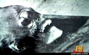 Screenshot_2015-12-22-00-02-24