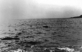 a1a0ef93.jpg