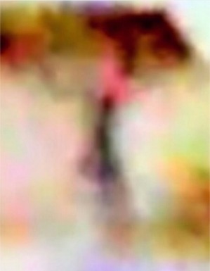 Effectplus_20160426_110919