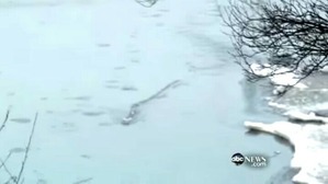 Screenshot_2016-02-19-01-47-18