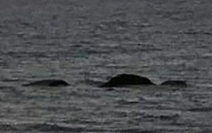 Screenshot_2016-05-08-13-47-09