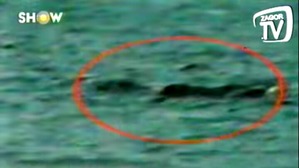 Screenshot_2016-05-27-06-49-29