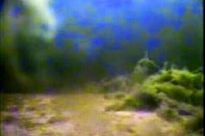 Screenshot_2016-01-15-19-50-35