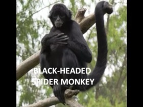 Screenshot_2015-11-01-07-30-04