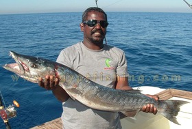 Barracuda_Red_Sea_Hurghada_005_Big
