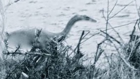 McSkimming Photo Zoom 160115