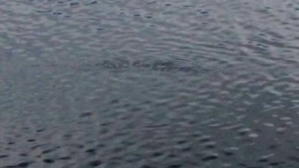 Screenshot_2016-03-01-22-47-47